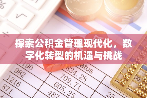 桑植探索公积金管理现代化，数字化转型的机遇与挑战