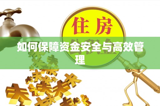 桑植如何保障资金安全与高效管理