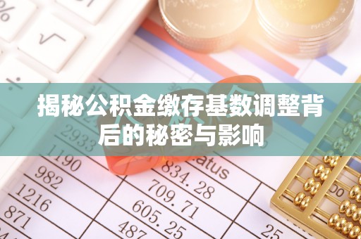 桑植揭秘公积金缴存基数调整背后的秘密与影响