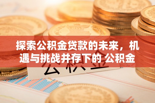 桑植探索公积金贷款的未来，机遇与挑战并存下的 公积金贷款风险防控