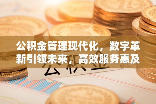 桑植公积金管理现代化，数字革新引领未来，高效服务惠及民生