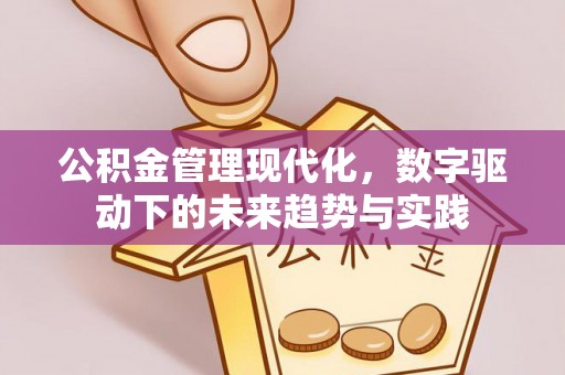 桑植公积金管理现代化，数字驱动下的未来趋势与实践