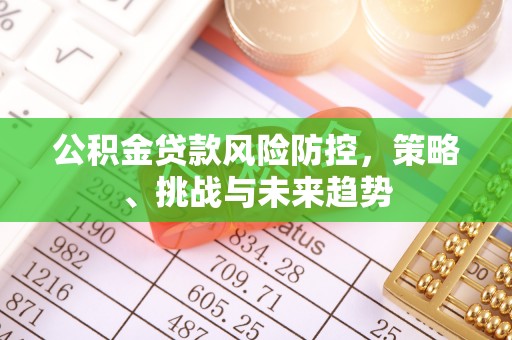 桑植公积金贷款风险防控，策略、挑战与未来趋势