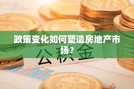 桑植政策变化如何塑造房地产市场？